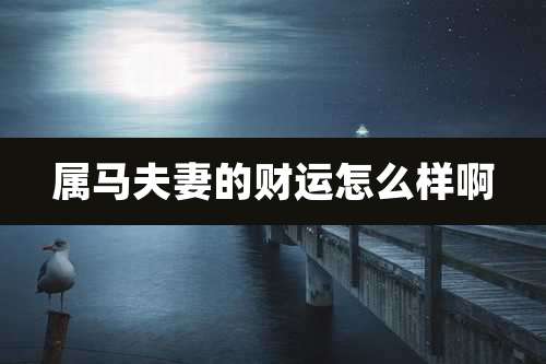 属马夫妻的财运怎么样啊