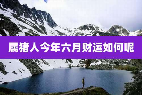 属猪人今年六月财运如何呢