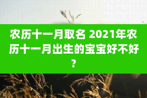 农历十一月取名 2021年农历十一月出生的宝宝好不好?