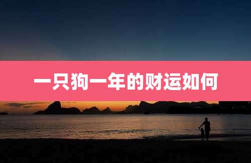 一只狗一年的财运如何