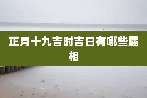 正月十九吉时吉日有哪些属相