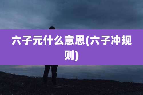 六子元什么意思(六子冲规则)