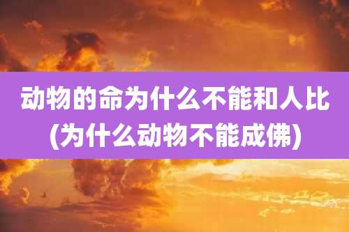 动物的命为什么不能和人比(为什么动物不能成佛)