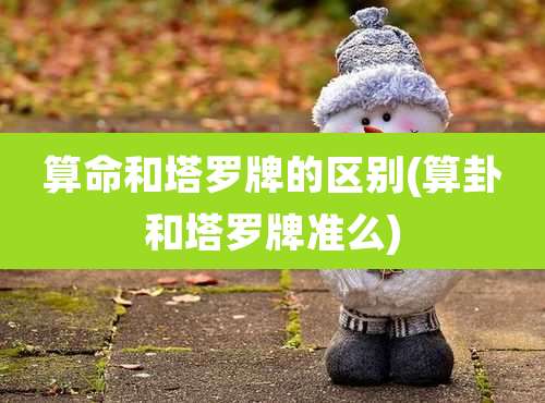 算命和塔罗牌的区别(算卦和塔罗牌准么)