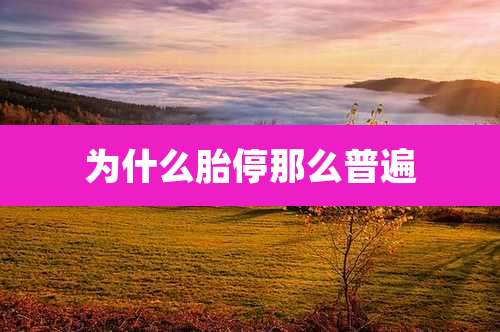 为什么胎停那么普遍