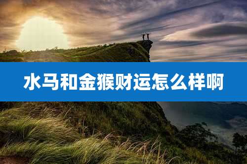 水马和金猴财运怎么样啊