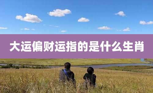 大运偏财运指的是什么生肖