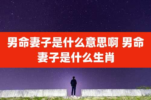 男命妻子是什么意思啊 男命妻子是什么生肖