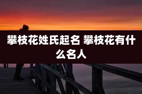 攀枝花姓氏起名 攀枝花有什么名人