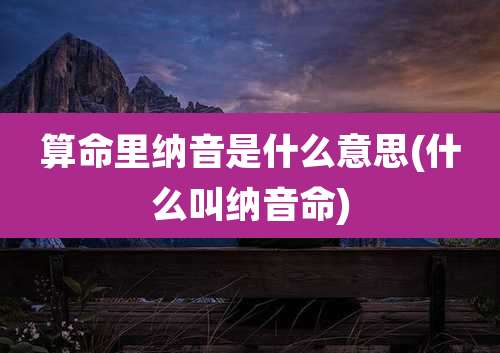 算命里纳音是什么意思(什么叫纳音命)