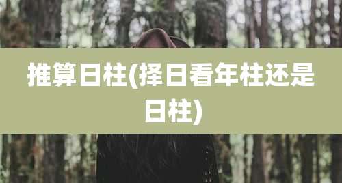 推算日柱(择日看年柱还是日柱)