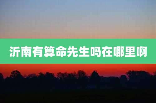 沂南有算命先生吗在哪里啊