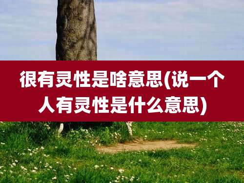 很有灵性是啥意思(说一个人有灵性是什么意思)