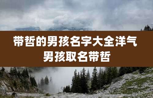 带哲的男孩名字大全洋气 男孩取名带哲