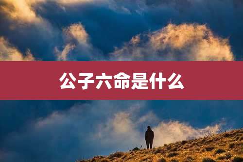 公子六命是什么