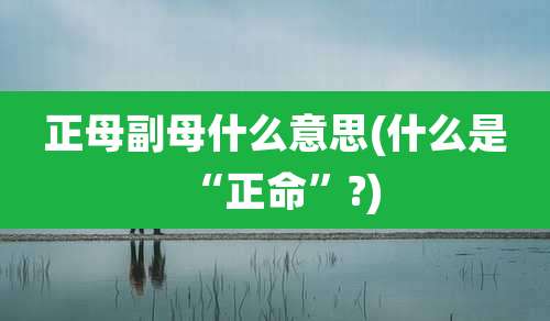 正母副母什么意思(什么是“正命”?)