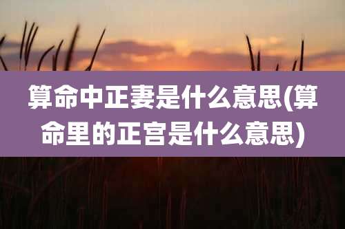 算命中正妻是什么意思(算命里的正宫是什么意思)