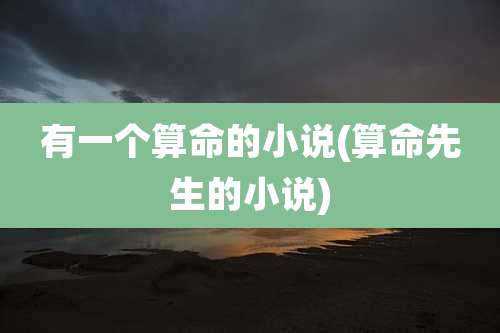 有一个算命的小说(算命先生的小说)