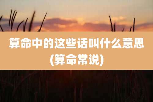 算命中的这些话叫什么意思(算命常说)