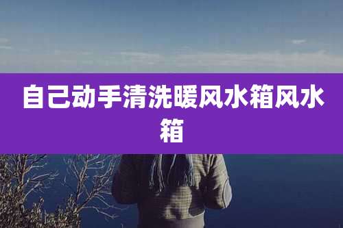 自己动手清洗暖风水箱风水箱