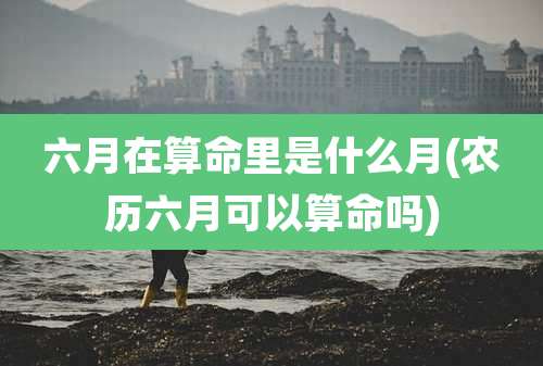 六月在算命里是什么月(农历六月可以算命吗)