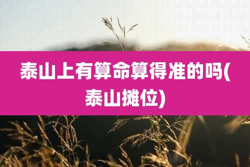 泰山上有算命算得准的吗(泰山摊位)