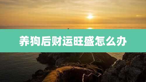 养狗后财运旺盛怎么办