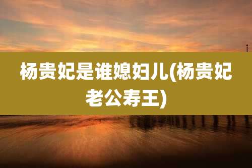 杨贵妃是谁媳妇儿(杨贵妃老公寿王)
