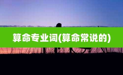 算命专业词(算命常说的)