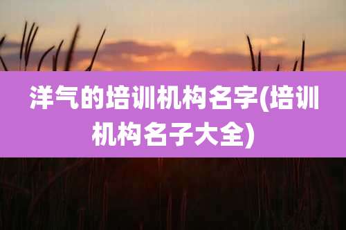 洋气的培训机构名字(培训机构名子大全)