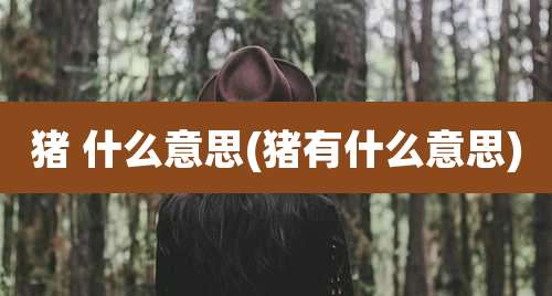 猪 什么意思(猪有什么意思)