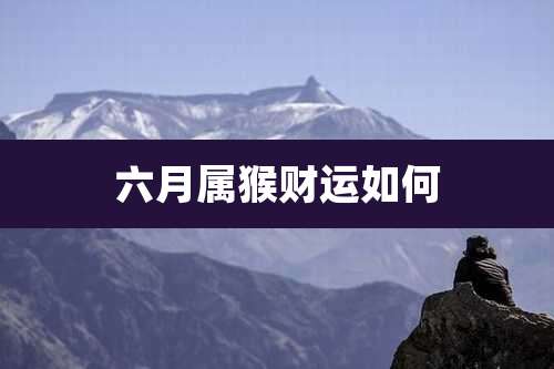 六月属猴财运如何