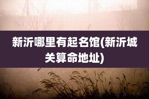 新沂哪里有起名馆(新沂城关算命地址)