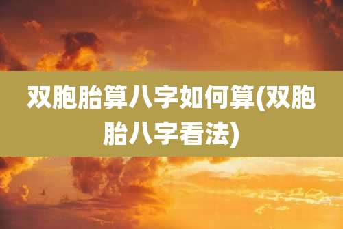 双胞胎算八字如何算(双胞胎八字看法)