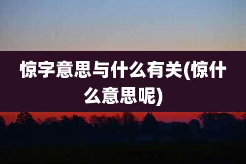 惊字意思与什么有关(惊什么意思呢)