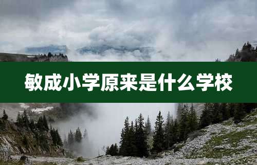 敏成小学原来是什么学校