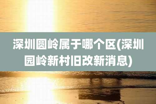 深圳圆岭属于哪个区(深圳园岭新村旧改新消息)