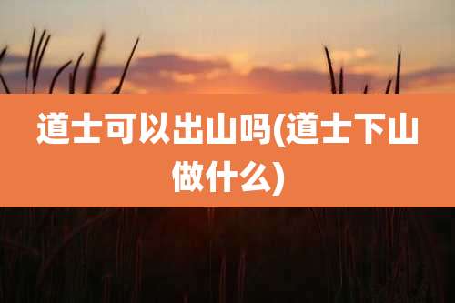 道士可以出山吗(道士下山做什么)