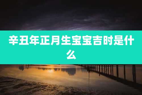 辛丑年正月生宝宝吉时是什么