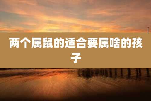 两个属鼠的适合要属啥的孩子