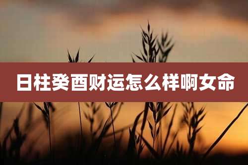 日柱癸酉财运怎么样啊女命