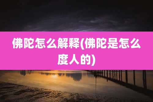 佛陀怎么解释(佛陀是怎么度人的)