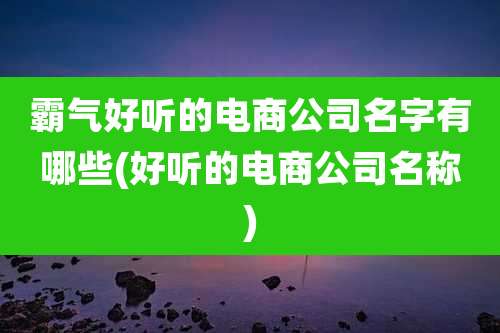 霸气好听的电商公司名字有哪些(好听的电商公司名称)