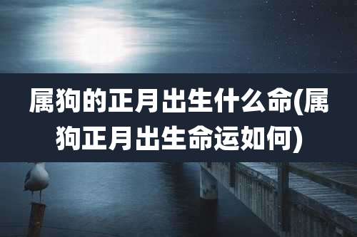 属狗的正月出生什么命(属狗正月出生命运如何)