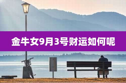 金牛女9月3号财运如何呢