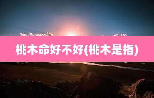 桃木命好不好(桃木是指)