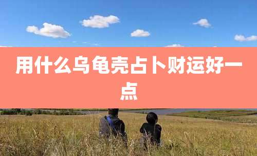 用什么乌龟壳占卜财运好一点