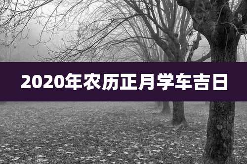 2020年农历正月学车吉日