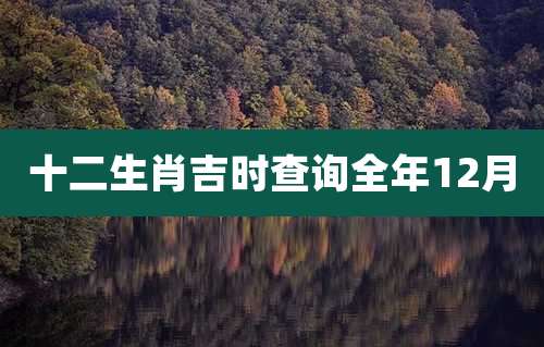 十二生肖吉时查询全年12月