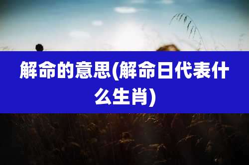 解命的意思(解命日代表什么生肖)